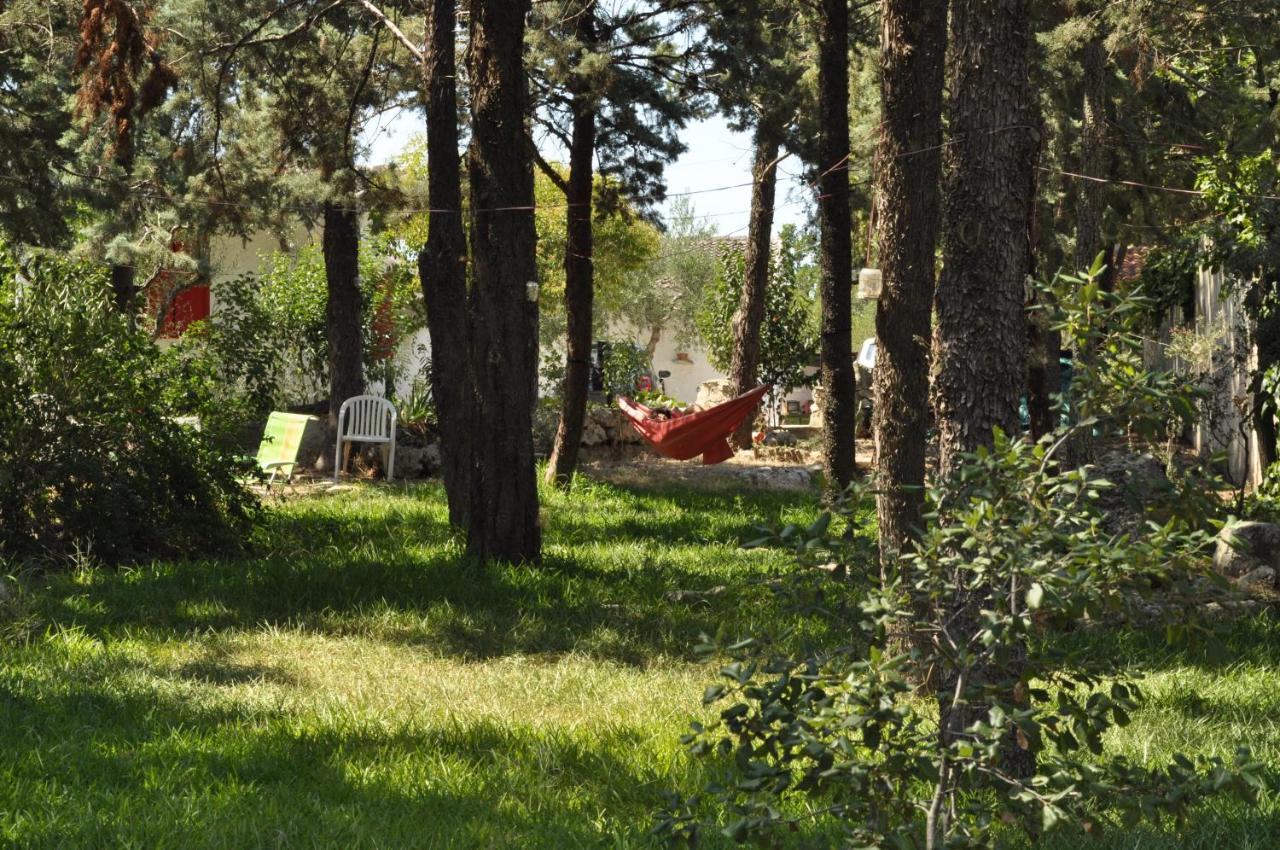 Villa Parco Alta Murgia Cassano delle Murge Kültér fotó