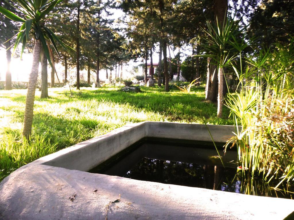 Villa Parco Alta Murgia Cassano delle Murge Kültér fotó